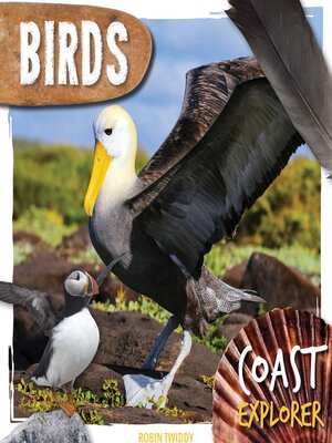 cover image of Birds